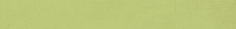 bg_007_footer.jpg