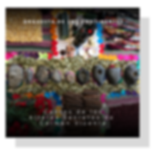 Untitled design (7).png