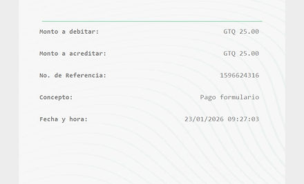 Ejemplo Boleta.jpg