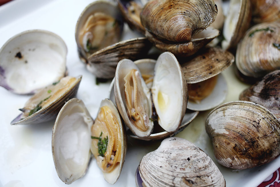 Top Neck Clams (25ct)