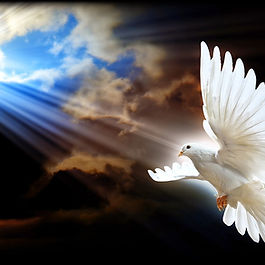 In Do Not Grieve the Holy Spirit, Pastor Marcos unpacks Paul’s warning in Ephesians 4:30, reminding the church that ministry apart from the Spirit is ineffective. He begins by stressing the importance of believers knowing and walking in their specific calling, as failing to do so disrupts the Spirit’s flow and hinders spiritual growth. Using an illustration from his personal work experience, he highlights that God alone determines and equips each person’s role, and success comes from faithfulness to that call rather than comparison with others.

Pastor Marcos then explains the necessity of humility, patience, and unity in ministry. He warns against desiring positions outside of one’s calling for reasons of pride or prestige, as such attitudes grieve the Spirit and harm the body. Every gift and calling, he notes, is for the equipping of the saints and the edification of the one body of Christ.

The teaching then explores the functions of the fivefold ministry—apostles, prophets, evangelists, pastors, and teachers—comparing them to the five senses of the human body, which allow Christ’s body to function effectively on earth. Apostolic and prophetic ministries provide foundational truth, evangelists win souls, pastors guard and feed the flock, and teachers store and distribute the treasures of God’s Word. Each role is vital, and misalignment or neglect diminishes the church’s health.

Ultimately, Pastor Marcos reminds readers that grieving the Spirit occurs when believers ignore their God-given assignments, serve with the wrong attitudes, or fail to honor the structure God established for His church. He calls Christians to embrace their calling, walk in unity and humility, and serve faithfully under the Spirit’s anointing so that the body of Christ may grow into the fullness of Christ.