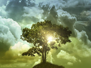 tree of life