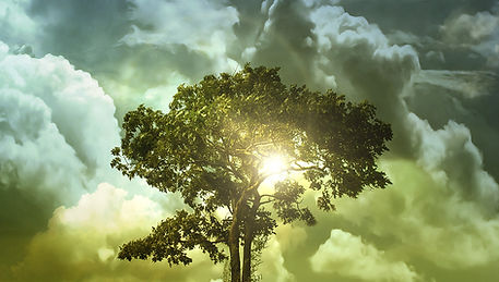 In this teaching, Lisa Kane explores the biblical truth that life itself is God’s gift, rooted in His original creation. Opening with Romans 6:23, she contrasts the wages of sin—death—with God’s gift of eternal life through Jesus Christ. Drawing from Genesis, Lisa explains how the patriarchs experienced longevity before sin corrupted creation, noting that aging began only after the fall when Adam and Eve disobeyed God.
She walks through the progression of sin in humanity: the disobedience of Eve, Cain’s murder of Abel, and Lamech’s violence, showing how sin accelerated corruption in the earth. Historical events such as the flood, the Tower of Babel, and the division of the continents are tied to the destructive weight of sin. Yet, amid judgment, God preserved the righteous, such as Noah, as examples of His sustaining gift of life.
Lisa emphasizes that while sin shortens lifespans and accelerates aging, repentance and relationship with God bring renewal, blessing, and spiritual vitality. She draws parallels to today’s society, pointing out the moral decay that mirrors the wickedness of ancient times. The message culminates with the hope of eternal life through Christ (John 3:15–17), reminding listeners that true life is only found in Him.
Ultimately, “The Gift of Life” calls believers to turn away from sin, embrace God’s righteousness, and live with the eternal perspective of salvation, knowing that Jesus has redeemed humanity from the curse of death.
