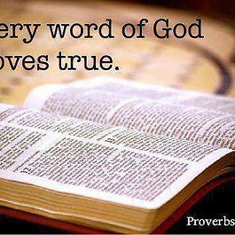 In this message, Lisa Kane highlights the believer’s responsibility when receiving the Word of God. Using 1 Corinthians 13:9 as a foundation, she explains that since we only “know in part,” we must be careful to measure every teaching and prophecy by the truth of Scripture. Listeners are urged to accept what aligns with the Bible and to reject anything false or misleading.
Lisa shows from passages like Joshua 24:15 and Deuteronomy 30:19 that God has always given His people the power of choice—life or death, blessing or cursing. Likewise, when prayers or teachings contradict God’s Word, believers have the authority to reject them. Discernment, rooted in knowledge of the Word (Hebrews 4:12; 5:14), is key to avoiding deception.
The message stresses that discernment must be exercised in the spirit of love, as described in 1 Corinthians 13, and never in condemnation. Since Jesus came not to condemn but to save (John 3:17), believers are called to walk in forgiveness and mercy, avoiding the role of the accuser which belongs to Satan (Revelation 12:10). Instead, they are to handle error with humility, prayer, and grace, leaving judgment in God’s hands.
Finally, Lisa reminds listeners to continually seek God’s Spirit in the “secret place,” rely on His Word, and let their actions of love and forgiveness confirm their faith. True discernment flows from knowing Scripture, walking in love, and yielding to the Holy Spirit. The message closes with a call for believers to take responsibility for guarding their hearts and minds, choosing to serve the Lord faithfully, and allowing the Spirit of God to lead them in truth.
