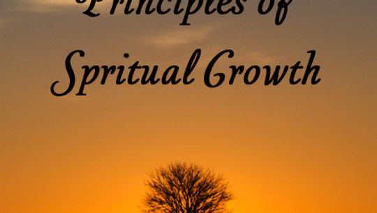 The objective of Spiritual Principles is to provide believers with a deeper understanding of God’s spiritual laws and how they govern the unseen spiritual realm with the same certainty that physical laws govern the natural universe. Pastor Marcos seeks to help Christians grasp the unchanging and perfect nature of spiritual principles, showing how obedience to them leads to transformation, humility, and grace, while disobedience results in spiritual downfall.