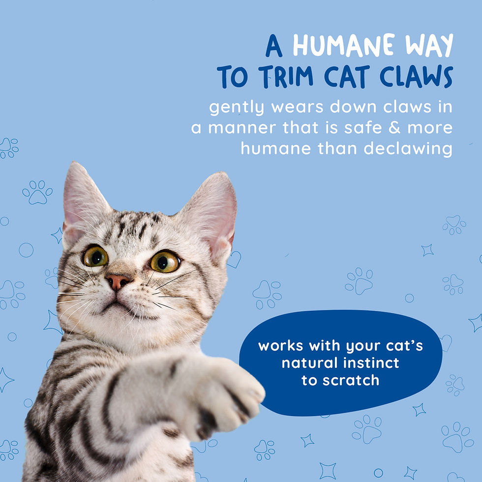Thumbnail: Kitty Cure Ad