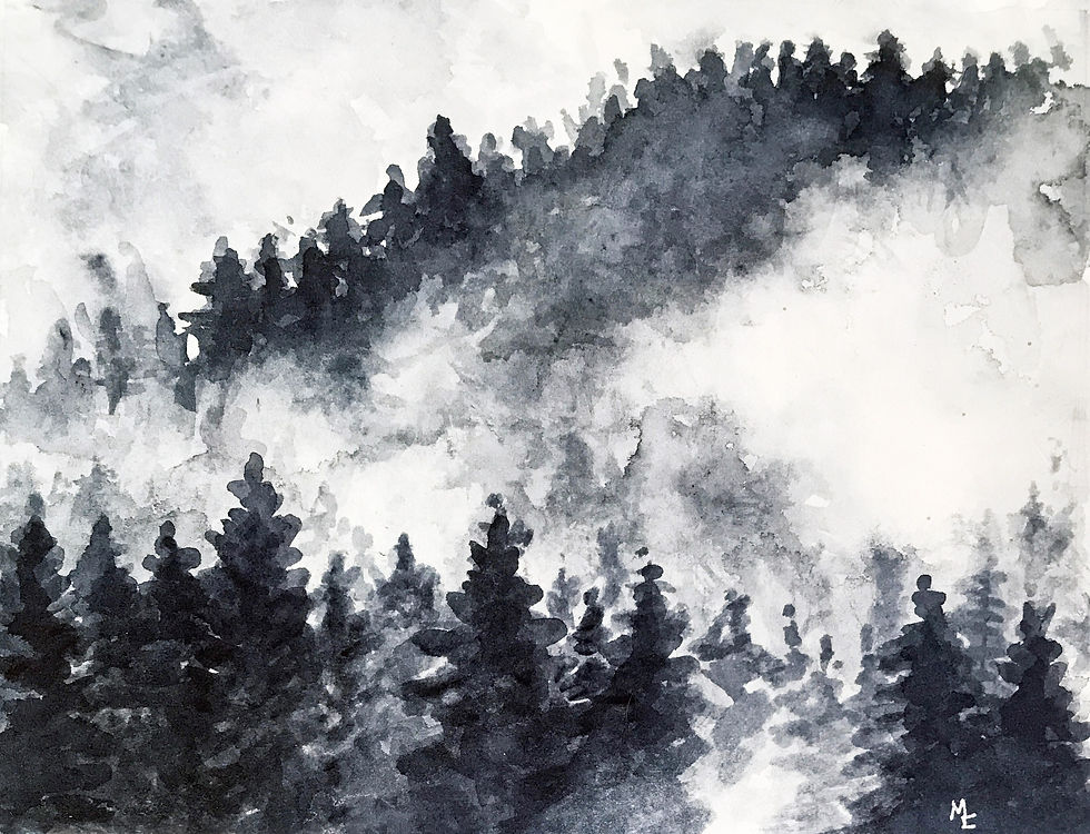 Rolling Fog
