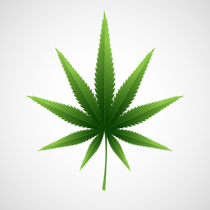 Names For Mary Jane Marijuana Origin