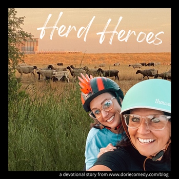 Herd Heroes