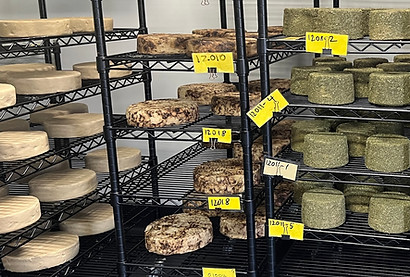 Artisa cheese factory SM.JPG