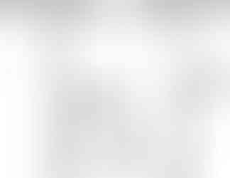 שרטוט שרותי אורחים ומסדרון כניסה לחדר רחצה