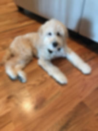 IMG_3490.jpeg