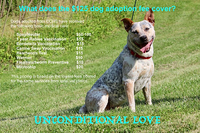 CCHS Dog Cost Infographic.jpeg