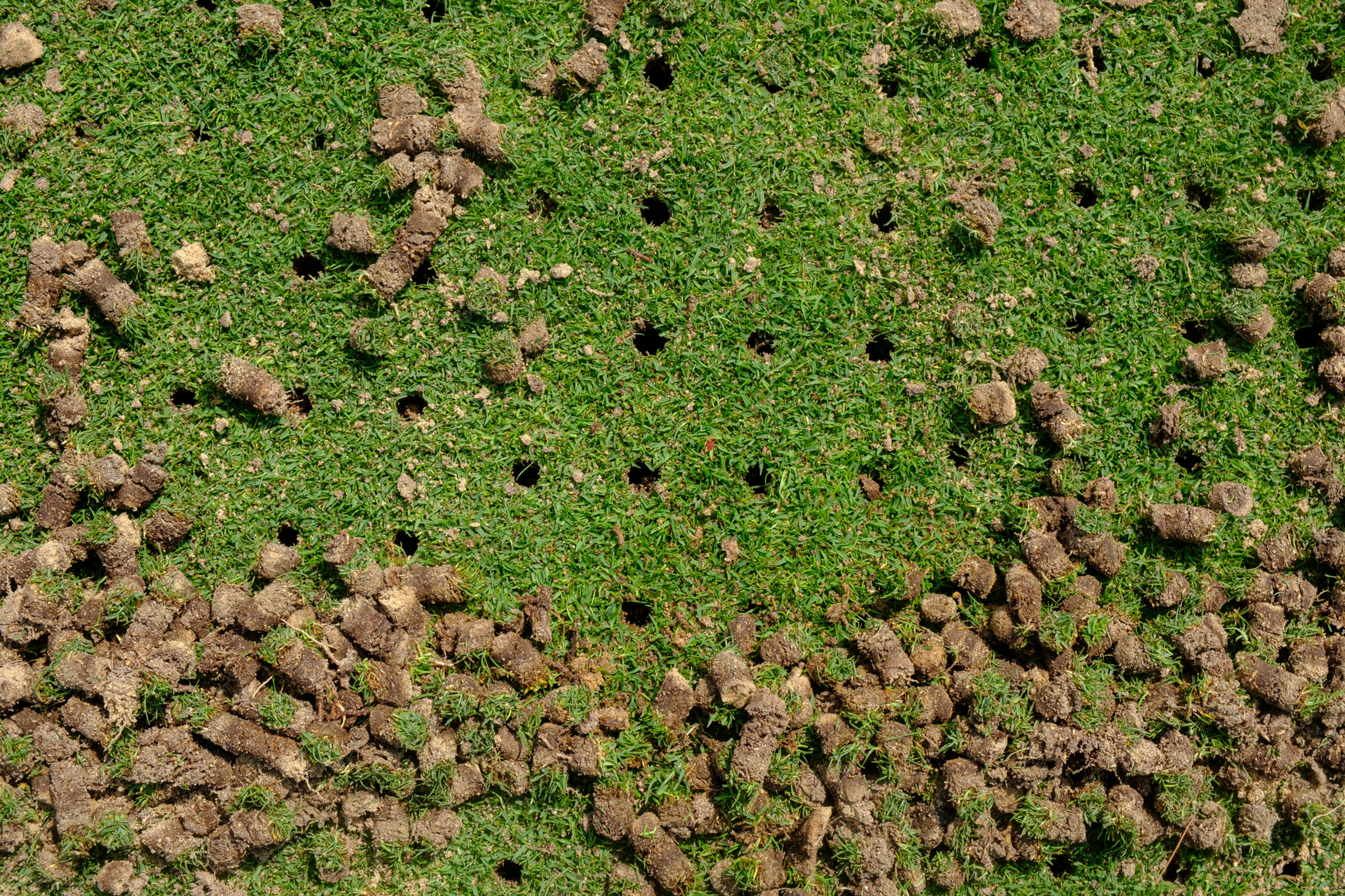 Fall & Spring Aeration