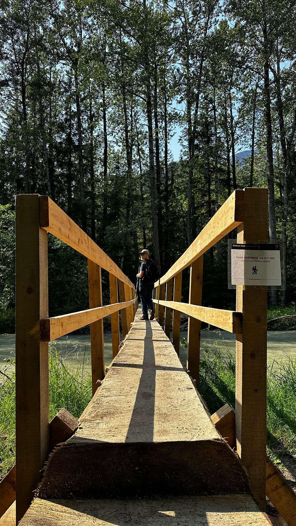 The log bridge on Chilkoot