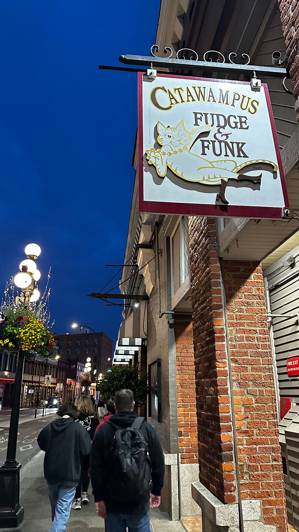 Fudge and Funk photo