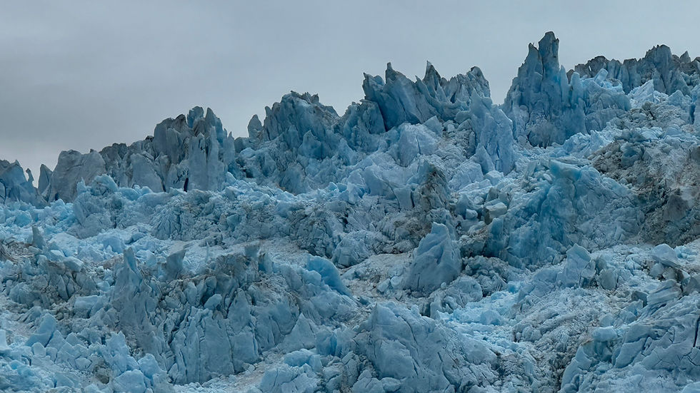 Sawyer Glacier - Photo 02