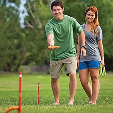Outdoor Horse Shoe Game.jpg