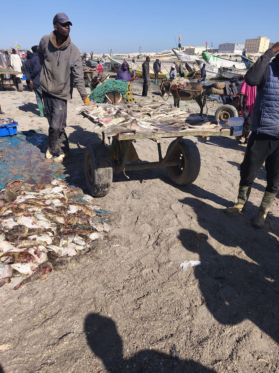 Los inmigrantes subsaharianos se encuentran subordinados a los haratines y los beidanes, y frecuentemente acaban inmersos en situaciones de esclavitud informal. Hice esta foto en el puerto, donde esta realidad era fácilmente observable.