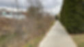 IMG_8612.JPEG