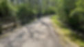 IMG_7550.JPEG