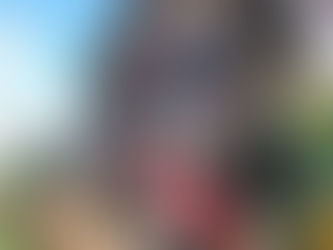 Tudo sobre o Club: o clube de descontos do Gramado Blog