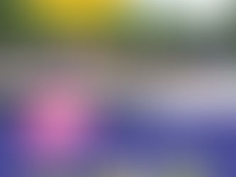 PTAC Summer Camp Directory