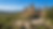 Website banners (1).png