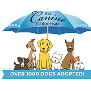 Charities We’ve Supported
