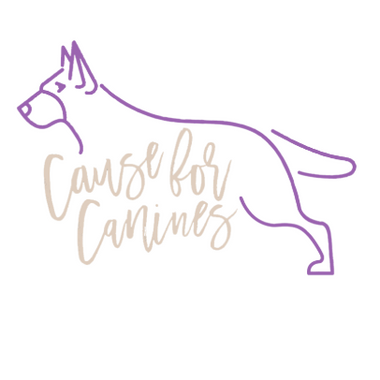 Charities We’ve Supported
