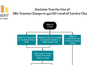 Trauma Charge Decision Tree