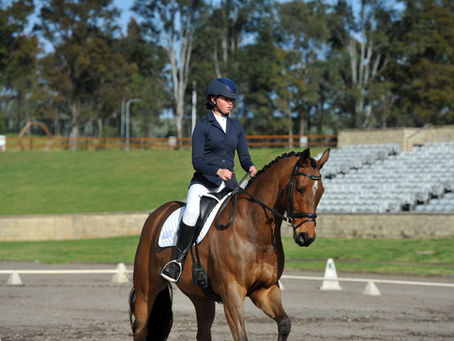 Welcome To Our New Website