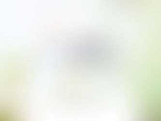 UAE NATIONAL DAY 48 promotion