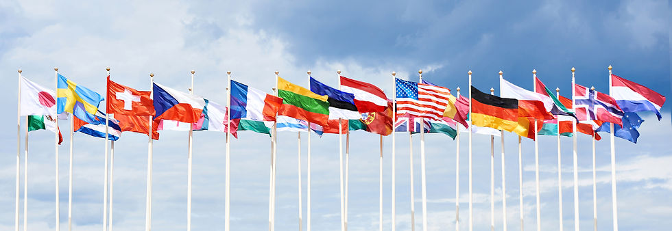 International_Business_LT4.jpg