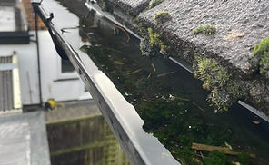 WhatsApp Image 2025-06-07 at 14.45.32 (7).jpeg