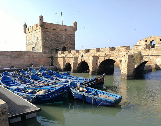 Essaouira 656327.jpeg