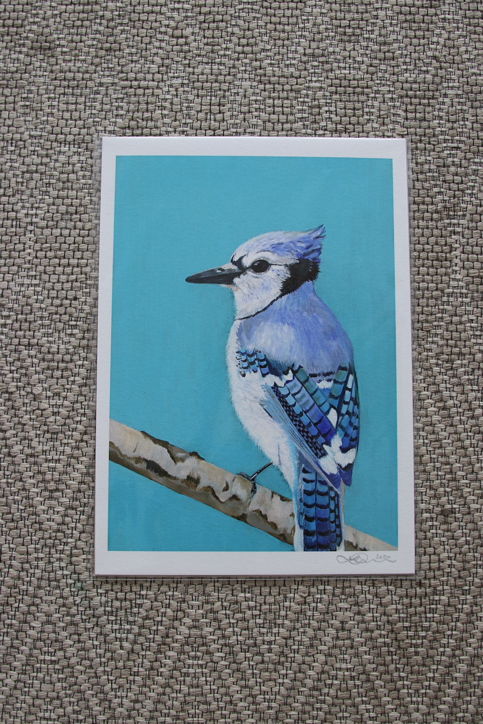 Thumbnail: Blue Jay Fine Art Print