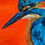 Thumbnail: Neon Kingfisher Fine Art Print