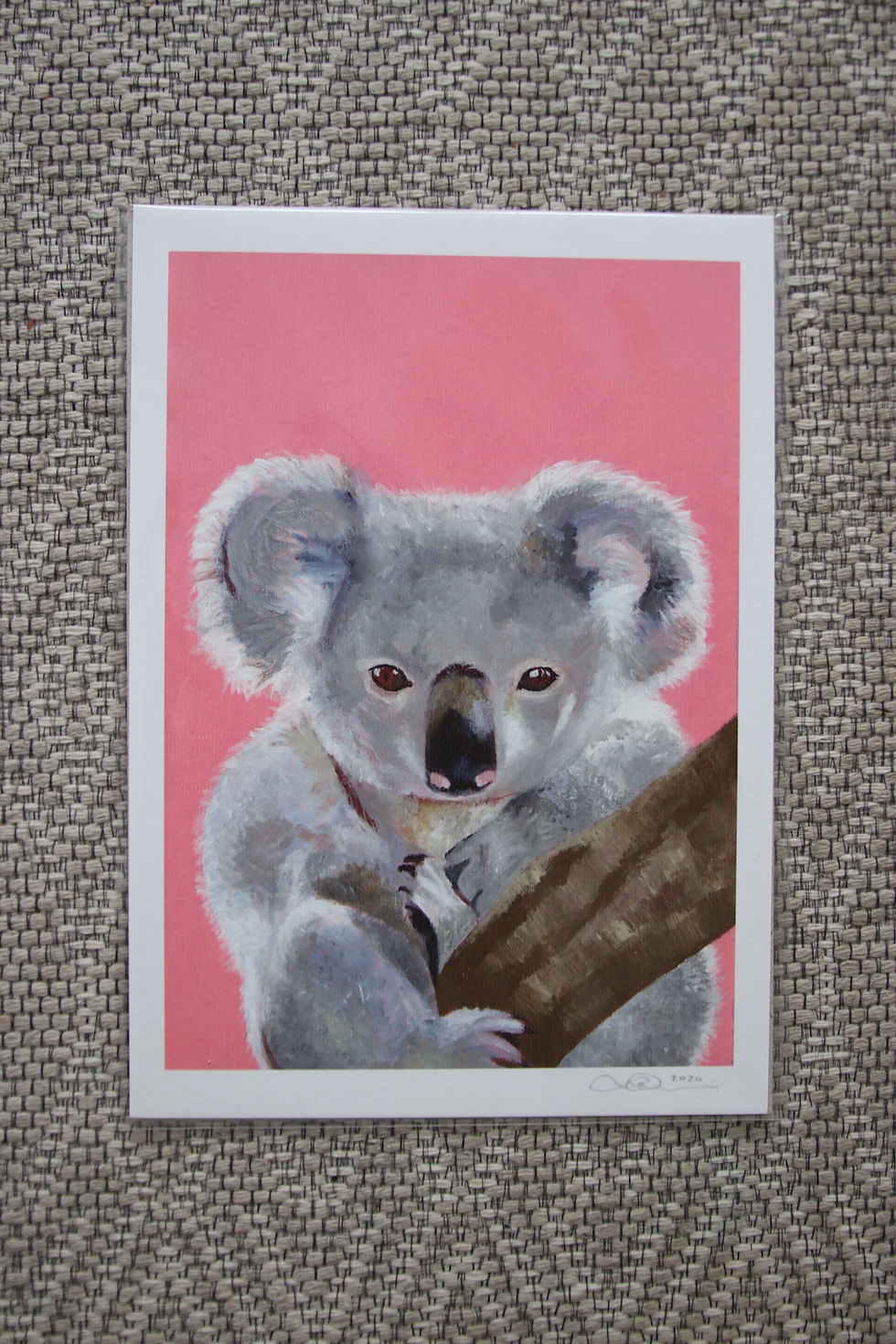 Thumbnail: Koala Fine Art Print