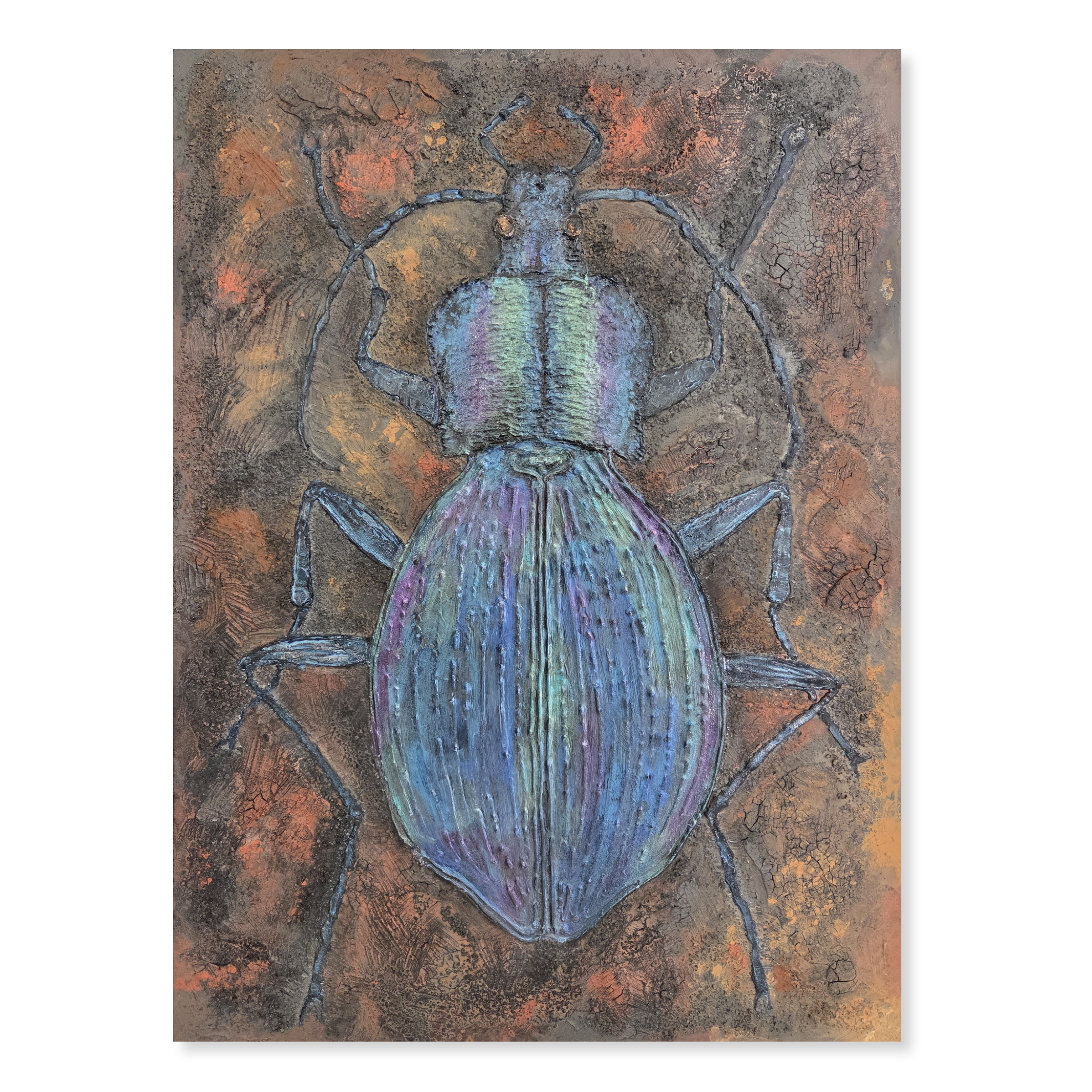Blue Ground Beetle