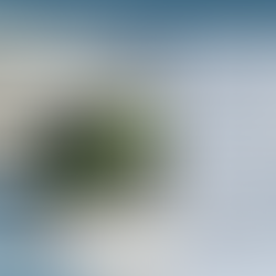 Trends in Sustainability Reporting in Sports (3/4)