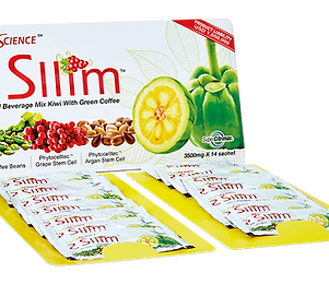 2sllim.png