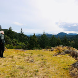 wedding hilltop at earthspring sanctuary