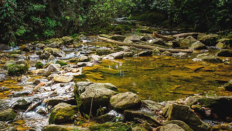 As trilhas em Paranapiacaba passam por lugares incríveis.