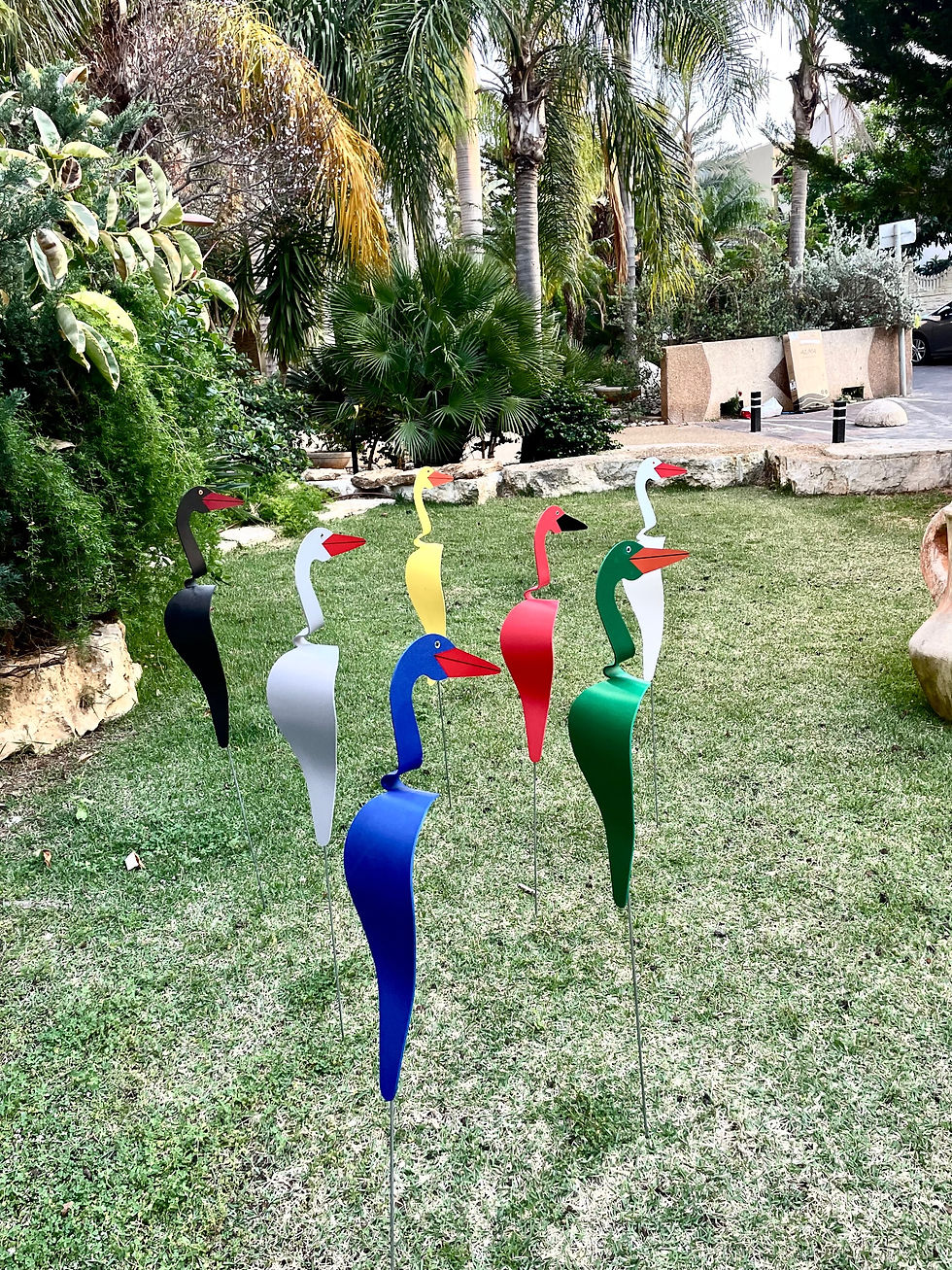 תמונה ממוזערת: אנפות ספיר - בשלל צבעים 