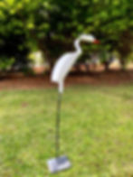Thumbnail: freedom bird