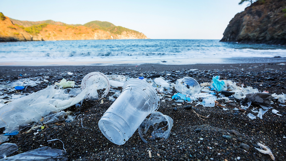 Plastic Bottle Pollution: Let's talk About Plastic Bottle Pollution