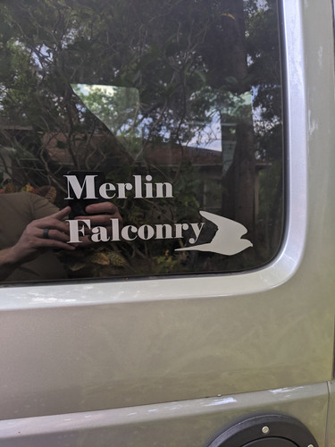 Merlin Falconry Decal | mysite