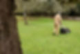 GettyImages-1459957760-2880w.jpg