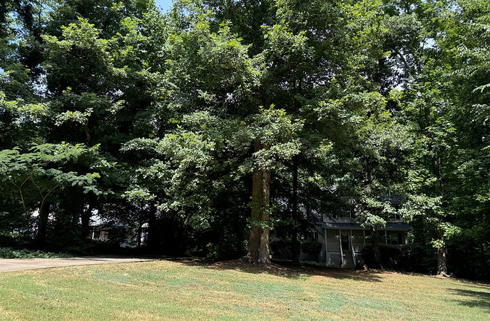 Expert Landscape, Hardscape, and Lawn Care Services